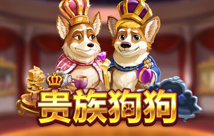 kok官网app体育